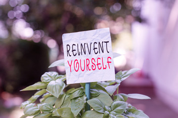 Word writing text Reinvent Yourself. Business photo showcasing to do something differently from...