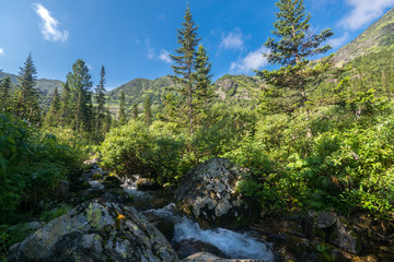 Obraz premium Mountain stream in the Siberian forest