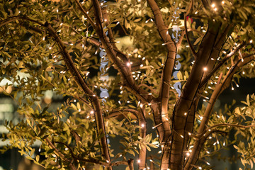 イルミネーション