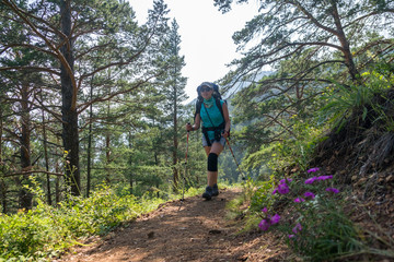 Obraz premium Girl tourist walks along the Great Baikal trail