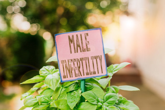 Writing note showing Male Infertility. Business concept for the inability to cause pregnancy in a fertile Plain paper attached to stick and placed in the grassy land