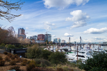 Obraz premium Marina Along Willamette Riverand Portland, Oregon skyline in the background.