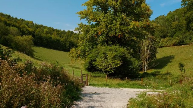 Beautiful green scenery of the Arundel Wetland Centre, located in the South Downs National Park, West Sussex, England, UK