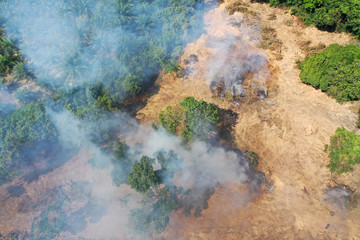 Deforestation. Rainforest cut down and burned to make way for palm oil plantations 