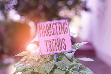 Writing note showing Marketing Trends. Business concept for changes and developments in trading in...