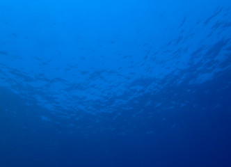 Under seawater landscape 
