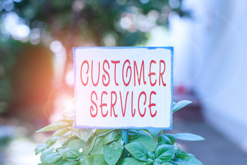 Writing note showing Customer Service. Business concept for process of ensuring customer satisfaction with a product Plain paper attached to stick and placed in the grassy land