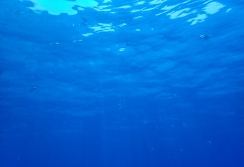 Sunbeam in the underwater 