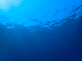 Fototapeta na wymiar Underwater blue ocean, scuba diving view