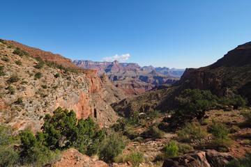 Early morning view from New Hance Trail in Grand Canyon National Park, Arizona under clear blue sky.