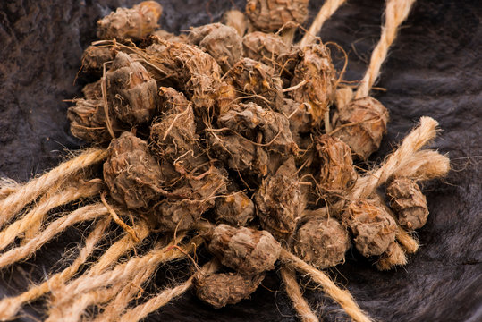 Tiger nuts. Tasty chufa nuts. Healthy superfood