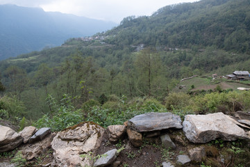 Fototapeta na wymiar Trail on the Annapurna Base Camp Trek in tropical Rain forest Nepal.