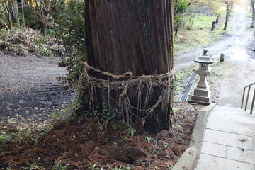 矢口神社