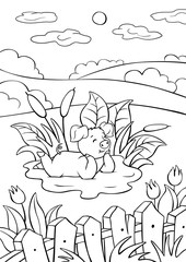 Cute little piggy is lying in a puddle and smiling.