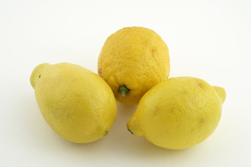 tree yellow lemon on white background