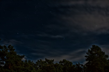 Stars in the night sky with clouds on a background of trees.