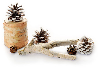Pine and birch