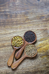 various Indian spices in wooden spoon
