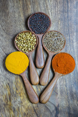 Fototapeta na wymiar various Indian spices in wooden spoon