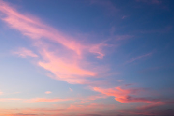 Blue sky and pink clouds. Sunset on a summer evening.