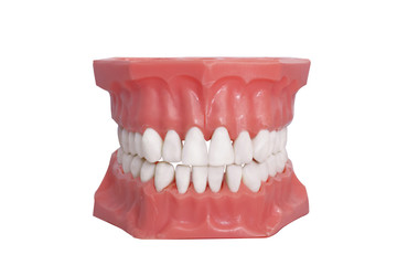 Denture dentist 