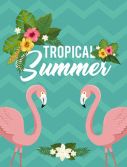 tropical summer poster with flamingos and flowers vector illustration design © Gstudio