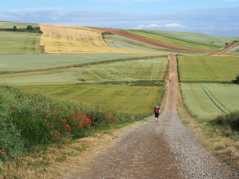 Pilgrim walking in a beautiful landscape on the road to Santiago de Compostela, Camino de Santiago, Way of St. James, Journey from Najera to Granon, French way, Spain