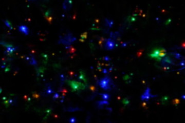  Garland lights on the Christmas tree. Blurred defocused christmas background for design.
