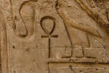Egyptian ancient hieroglyphs on the stone wall. Closeup of the symbol of eternal life ankh