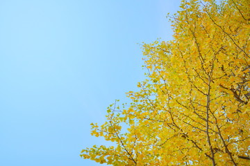 Fototapeta premium 東京駅丸の内オフィスビル
