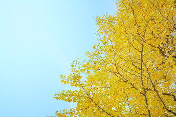 東京駅丸の内オフィスビル