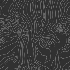 Wood grain black texture. Seamless wooden pattern. Abstract line background. Vector illustration