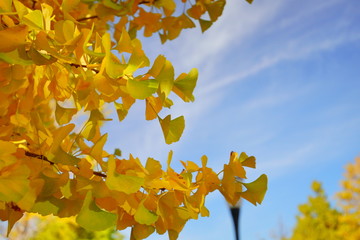 東京駅丸の内オフィスビル