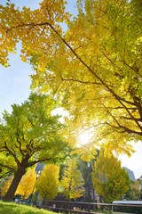 東京駅丸の内オフィスビル