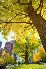 東京駅丸の内オフィスビル