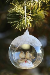 Christmas festive decor.  birds in a glass cocoon on a Christmas tree in hoarfrost background.Winter time.winter Wallpaper.Christmas tree festive decor
