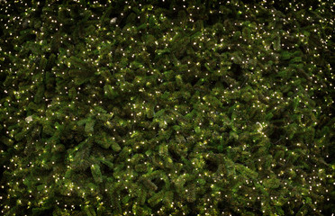 decoration christmass tree with mini light on green bush