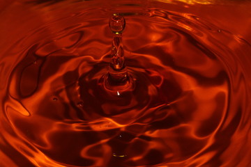 Dancing harmoniously with a drop of red colored water.