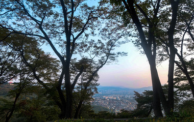 view