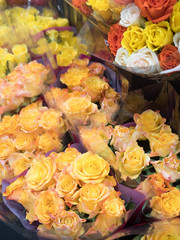 店頭に並んだバラの花