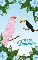 tropical summer poster with parrot and toucan vector illustration design