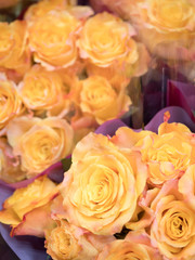 店頭に並んだバラの花