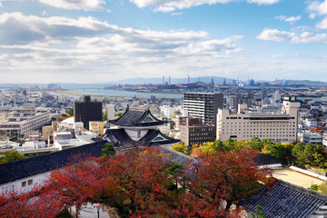 Obraz premium View from Wakayama Castle under blue sky in Wakayama, Wakayama Prefecture, Japan. Fall color season