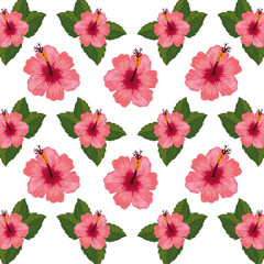 background of flowers with leafs tropicals vector illustration design