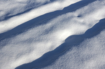 Vegetable bed under snow