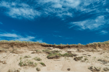 Fototapeta na wymiar The dunes of Biville sur mer, Normandy, France