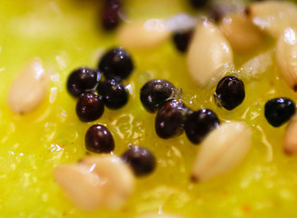 INDIAN MUSTARD TOPPINGS