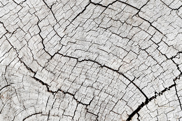 Full frame, Texture pattern of wooden old for background.