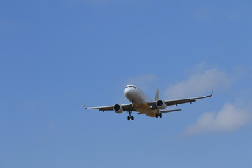 飛行機