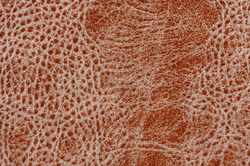 Brown natural leather texture with a pattern. Real animal skin background texture.